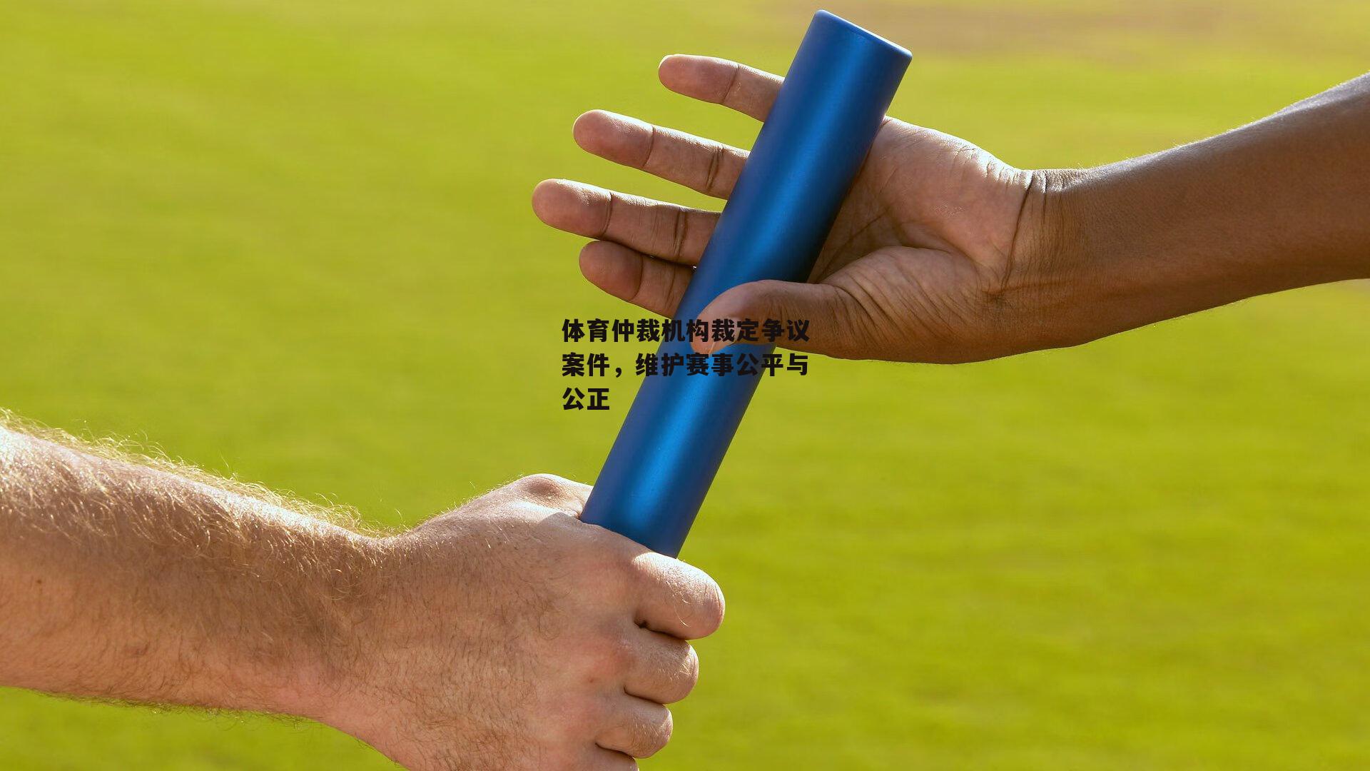 体育仲裁机构裁定争议案件，维护赛事公平与公正